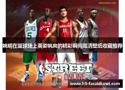 姚明在篮球场上英姿飒爽的精彩瞬间高清壁纸收藏推荐 姚明在篮球场上英姿飒爽的精彩瞬间高清壁纸收藏推荐