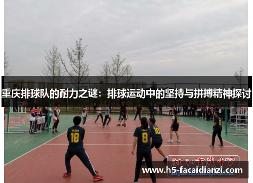 重庆排球队的耐力之谜：排球运动中的坚持与拼搏精神探讨