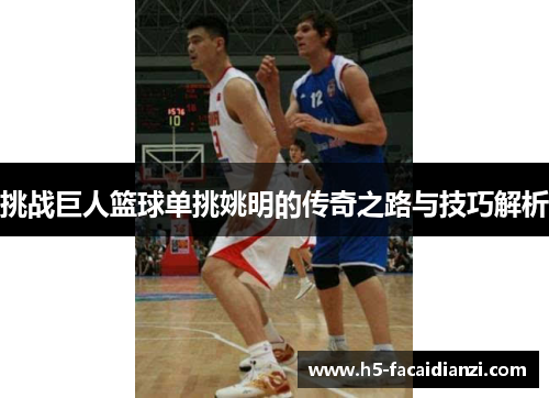 挑战巨人篮球单挑姚明的传奇之路与技巧解析